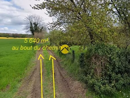 la nature comme voisine