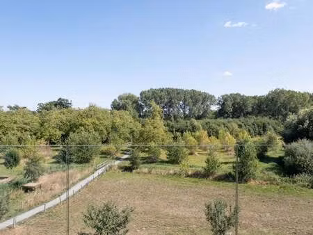appartement à louer à melsele € 860 (lnp3d) - huyzen beveren | zimmo