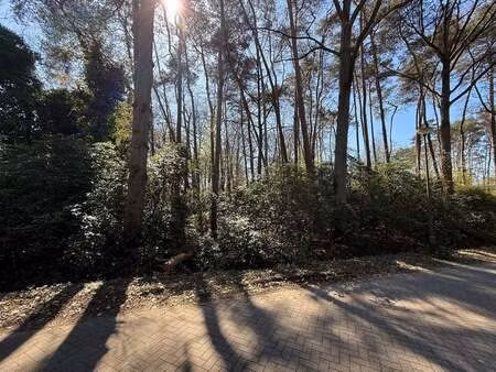 terrain à vendre à 's gravenwezel € 700.000 (lnpga) - coenen vastgoed | zimmo