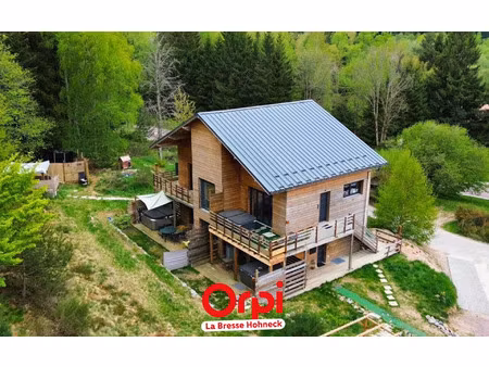 immeuble gérardmer 153 m² t-10 à vendre  525 000 €
