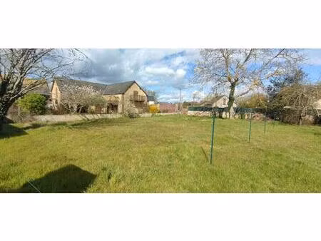 vente terrain 1290 m² vaas (72500)