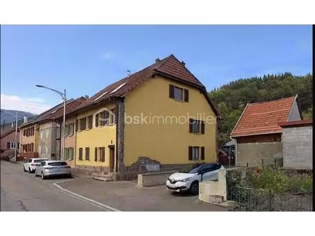 appartement 3 pièces avec terrasse à willer-sur-thur