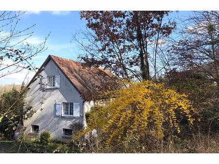 maison 7 pièces à vendre à chançay - environnement agréable