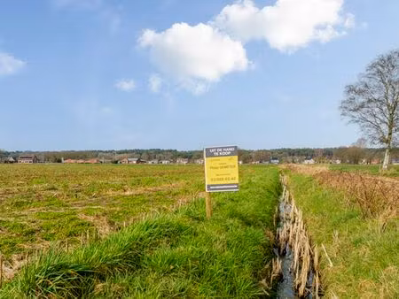 terrain à vendre à lichtaart € 197.940 (lnprb) - philip demeter | zimmo