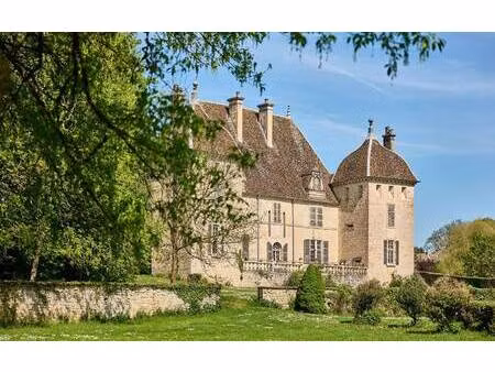 château à vendre