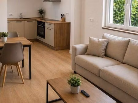 appartement f2 meublé belles prestations refait à neuf