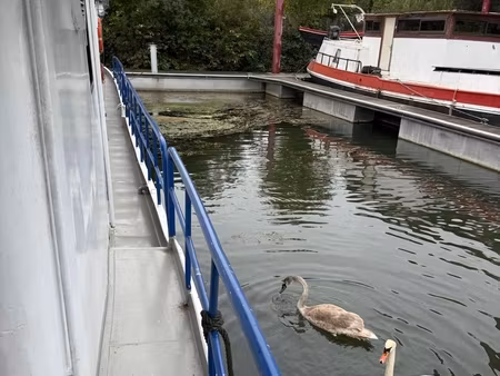 vente péniche 5 pièces
