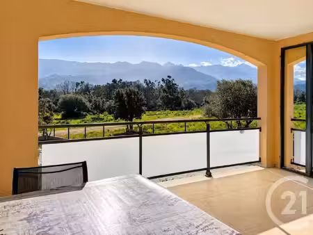 maison speloncato - 3 chambres - 151m²