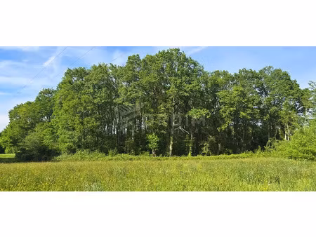 vente terrain 9309 m² à la celle-sur-loire (58440)  30 000 €
