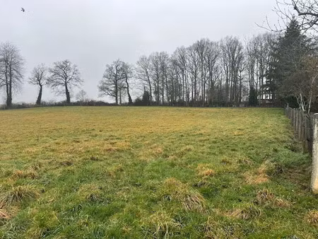 vente terrain à ansac-sur-vienne (16500)  44 500 €