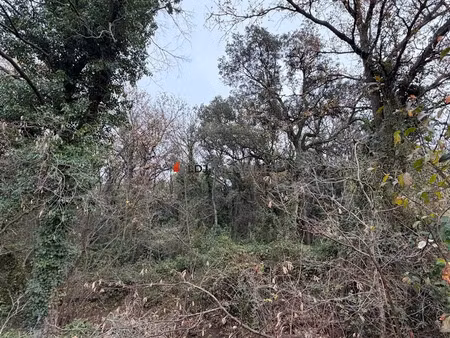 vente terrain 17246 m² à laroque-des-albères (66740)  38 000 €