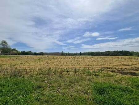 terrain constructible