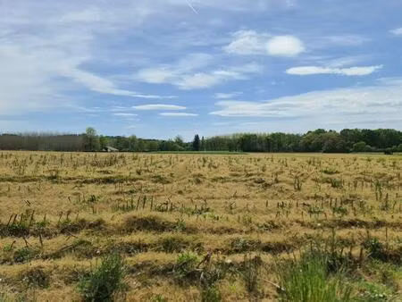 terrain constructible