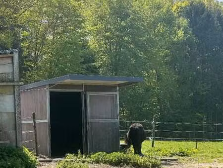 prairie avec box à wambeek