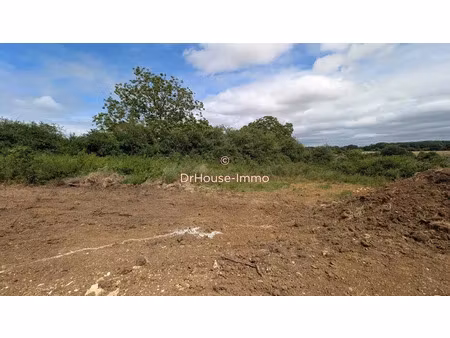 vente terrain 1295 m² à béruges (86190)  89 000 €