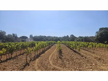 vente terrain 698 m² à cogolin (83310)  299 250 €