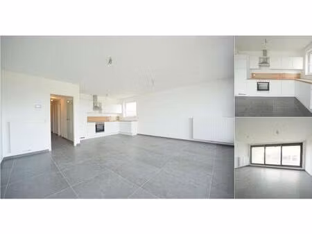 appartement à louer à rue des geais 14 grivegnée (vbe16312)