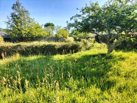 vente terrain à séné (56860) : à vendre / séné