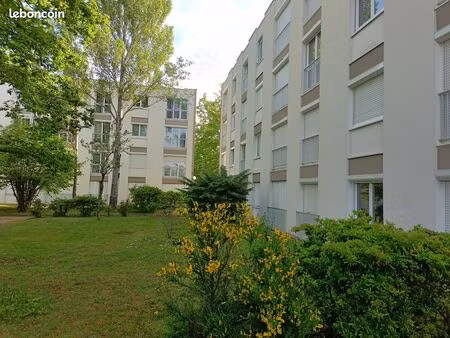 appartement à louer la source