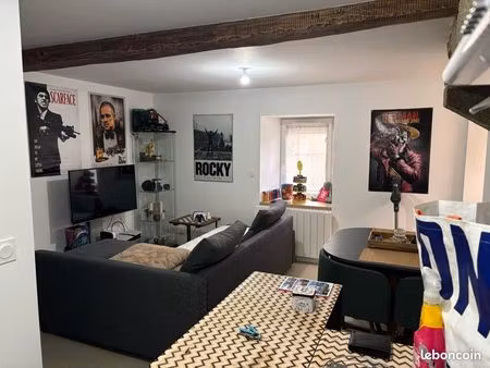 studio port de perros