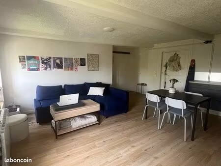 apprtement renové 45m2 centre