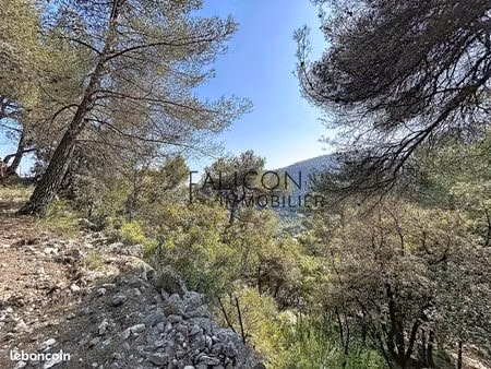 terrain 2640 m² falicon