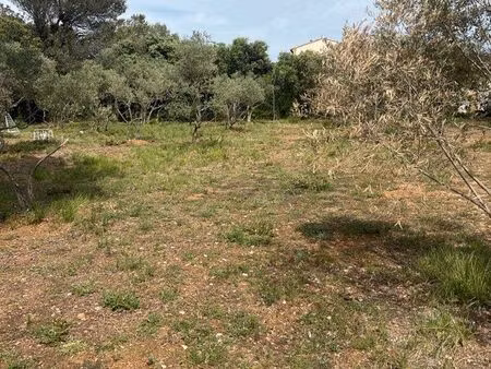 recherche terrain agricole