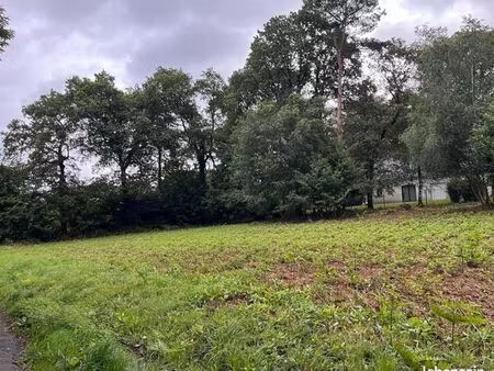 terrain 765 m² treffrin