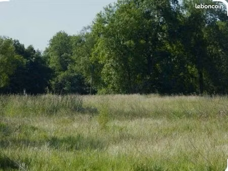 recherche bout de terrain agricole ou de loisir
