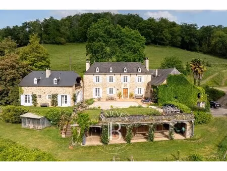 magnifique propriete avec 19 hectares près de pau  vues pyrenees