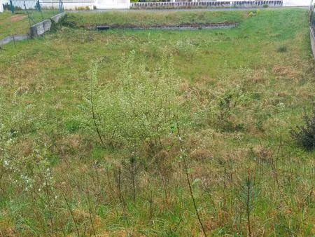 terrain de 878m² entre forêt et plage
