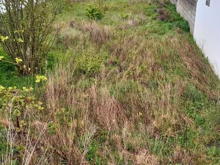 terrain de 1011m² libre de constructeur