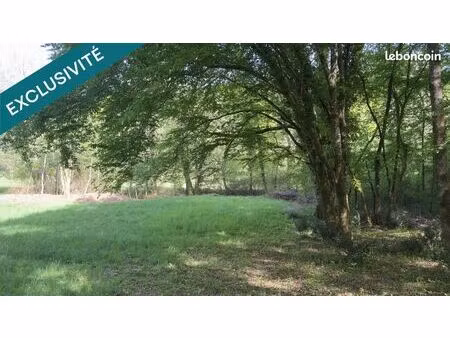 terrain 6056 m² les eyzies-de-tayac-sireuil