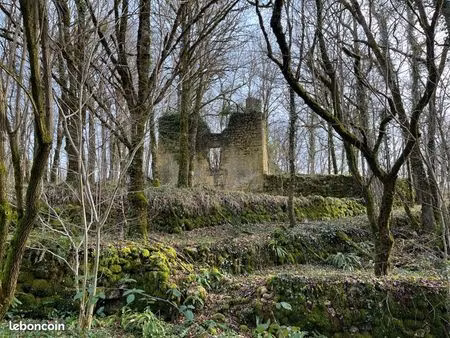ensemble forestier avec ruine brantome en périgord