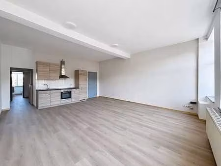 lumineux appartement une chambre