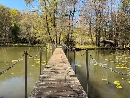 propriété naturelle avec étang et pâture