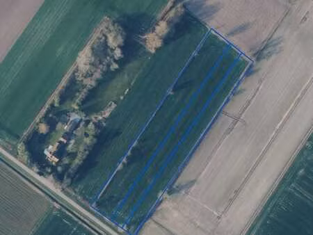 te koop verpachte landbouwgrond gelegen aan de krielweg