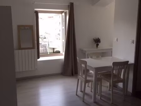 studio meublé bien équipé au centre de st vallier (pont de pierre)