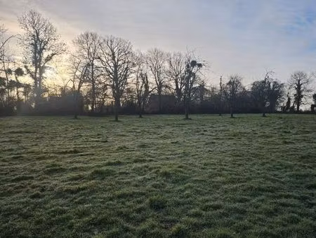 terrain 2 029 m² la lande saint leger