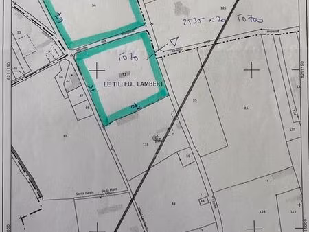 terrain constructible