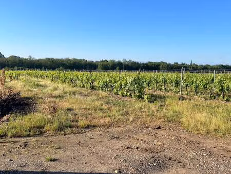 vente terrain à beautiran (33640) : à vendre / beautiran