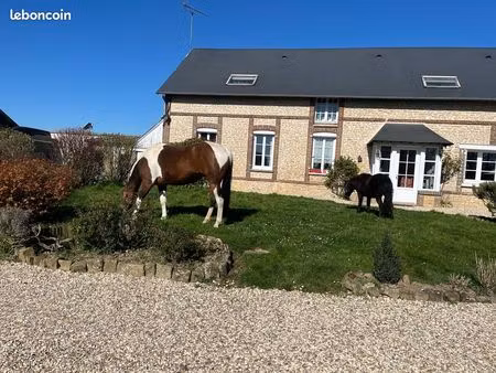 45 min de versailles - propriété equestre et terrain constructible – idéal télétravail –