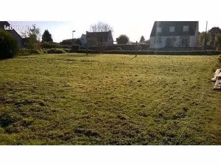 terrain : 693 m²