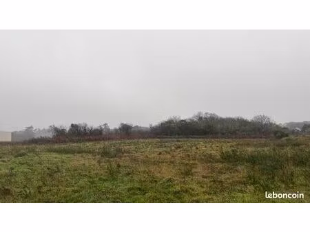 vente terrain constructible zone artisanale