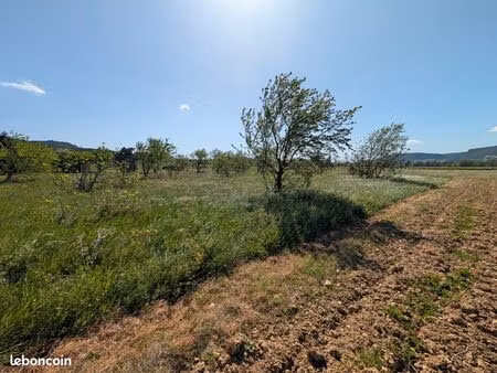 terrain agricole carmignan