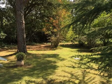 terrain de 500 m2 -