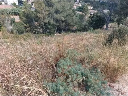 terrain viabilisé