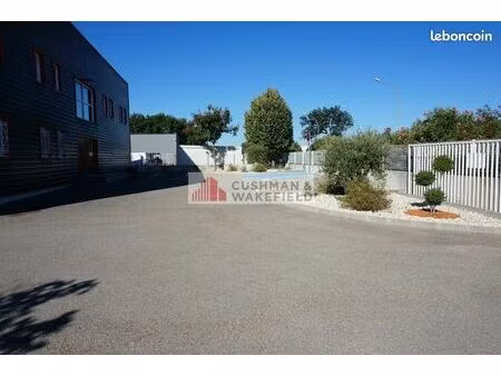 local d'activite 565 m² nimes