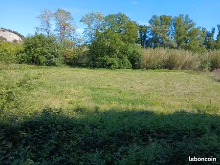 location terrains pour chevaux