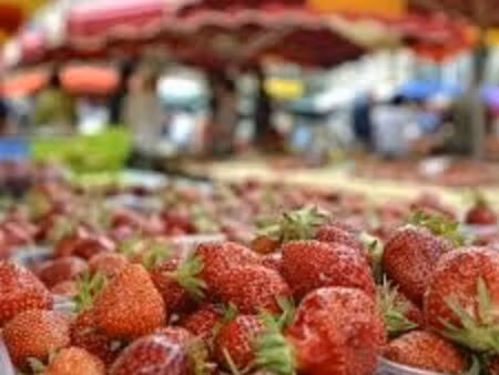 vends commerce fruits et légumes